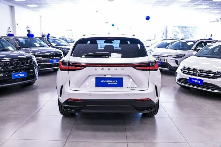 Lexus NX-350h Luxury 2.5 16V Aut. (hybrid), foto 4 de 10