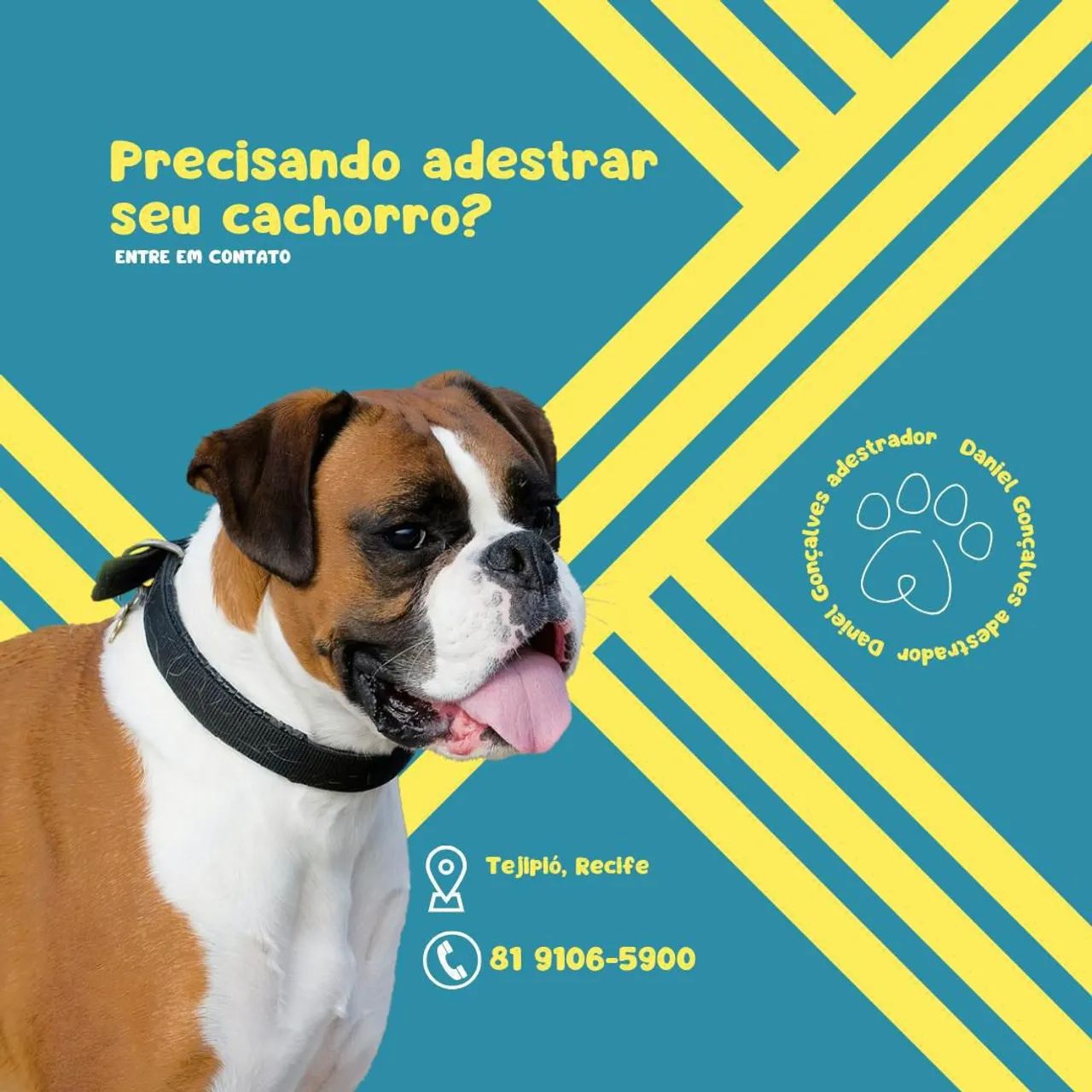 Adestramento de cães 