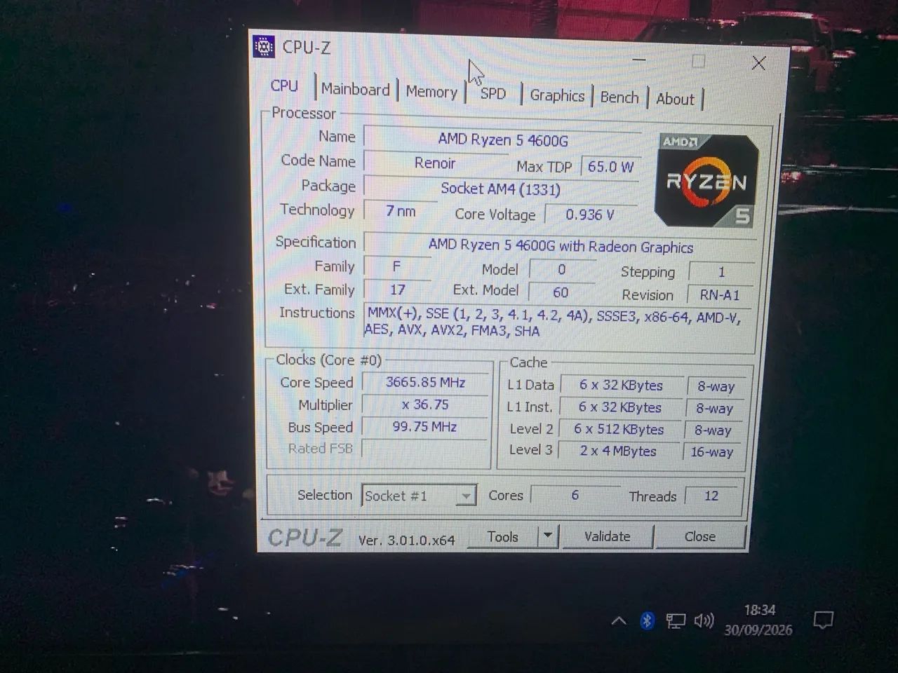 Ryzen 5 4600G 