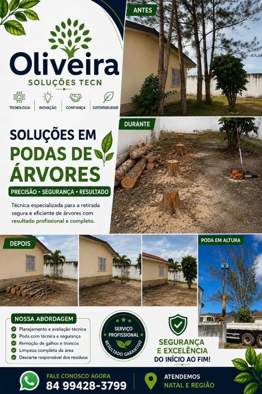 Podas de árvores  - Foto 3