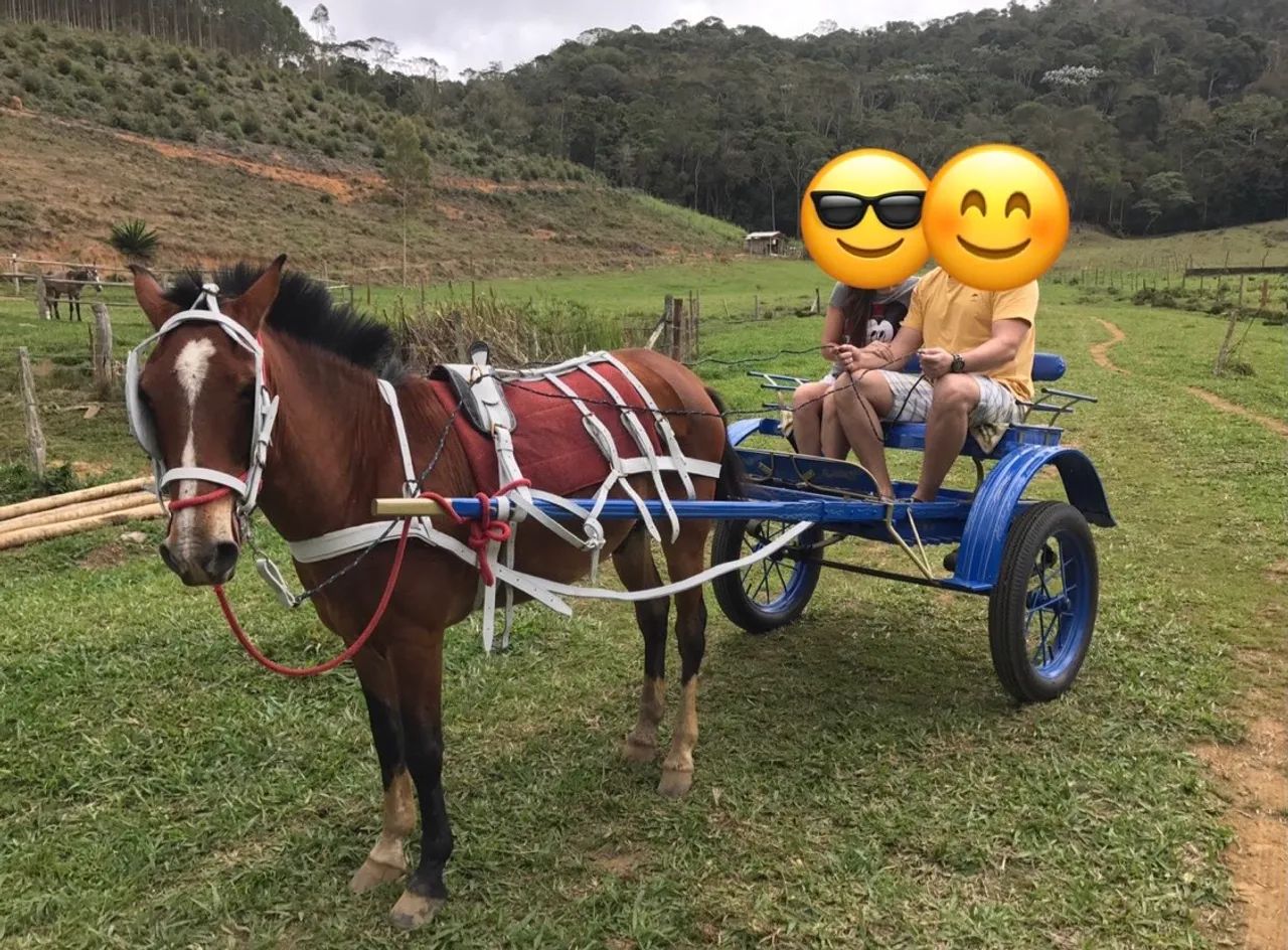 Charrete para cavalo