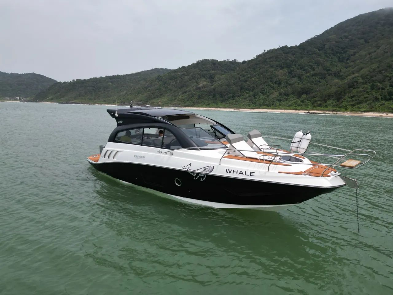 Triton 350 HT - 2022 x2 Mercruiser 250 HP ñ Focker Phantom Sessa Real Sedna Fs Focker  - Foto 5