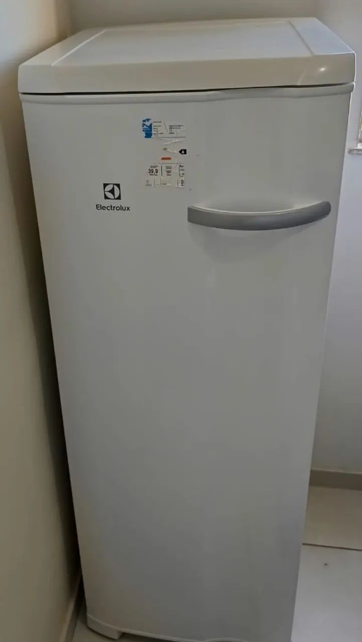 Freezer vertical FE23 197 Litros 110V