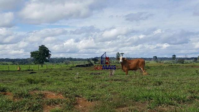 Fazenda Localizada na cidade de Buritis-RO - Foto 16