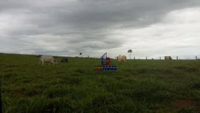Fazenda Localizada na cidade de Buritis-RO - Foto 2