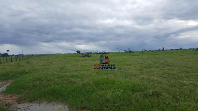 Fazenda Localizada na cidade de Buritis-RO - Foto 13