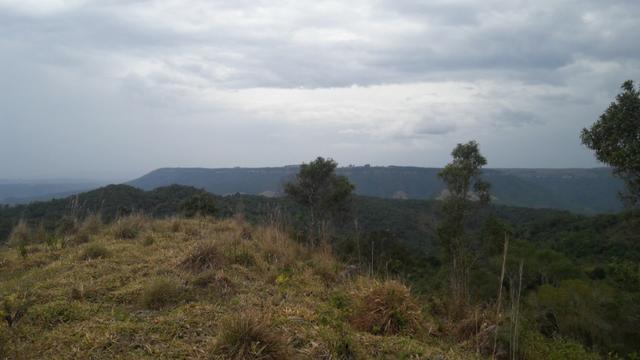 Fazenda com 663 alqueires em campo largo - Foto 9