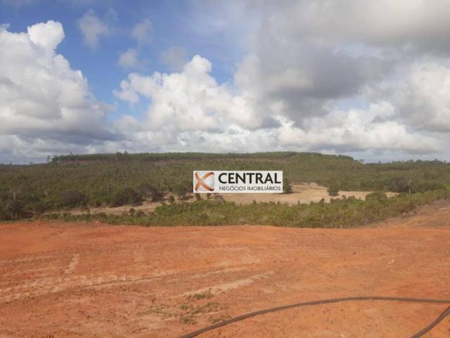 Fazenda à venda, 834268 m² por R$ 800.000,00 - Zona Rural - Mata de São João/BA - Foto 4