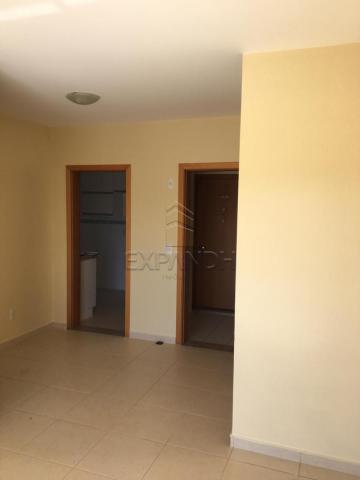 Apartamento para alugar com 2 dormitórios em Centro, Sertaozinho cod:L3332 - Foto 5