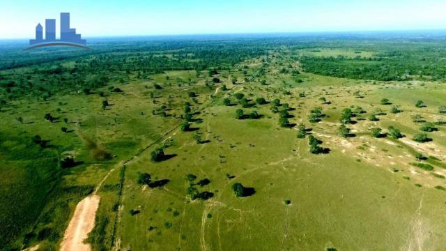 FAZENDA PARA GADO DE 14.950 HECTARES NA REGIÃO DE POCONÉ-MT - Foto 11