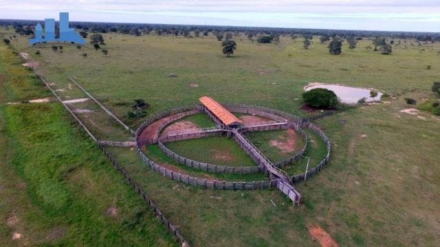 FAZENDA PARA GADO DE 14.950 HECTARES NA REGIÃO DE POCONÉ-MT