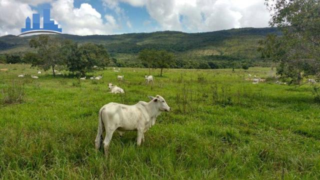 FAZENDA DE GADO DE CORTE COM 1.800 HECTARES EM BARRA DOS BUGRES