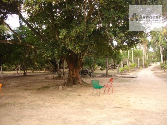 Chácara com 3 dormitórios à venda, 20000 m² por R$ 500.000,00 - Carne de Vaca - Goiana/PE - Foto 14