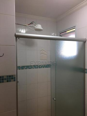 Apartamento para alugar com 2 dormitórios em Centro, Sertaozinho cod:L3332 - Foto 17