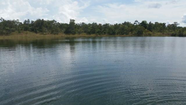 Sitio 120 hectares em Livramento - Foto 6