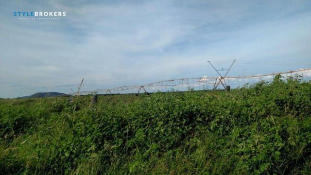 Fazenda no Estado da Bahia à venda, 600000000 m² por R$ 525.000.000 - Praia Grande - Salva - Foto 7
