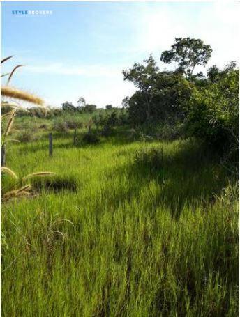 Chácara no Município de Rosário Oeste com 5 dormitórios à venda, 270000 m² por R$ 300.000 - Foto 19
