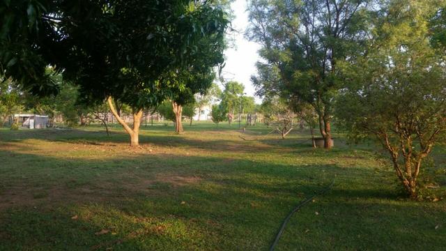 Sitio 120 hectares em Livramento - Foto 7