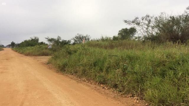 Terreno para venda em barra velha, itajuba - Foto 6