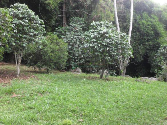 Sitio Teresópolis - Foto 11