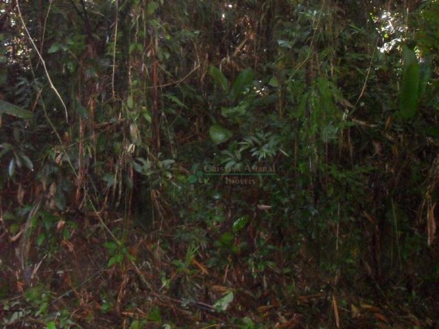 Terreno residencial à venda, Vargem Grande, Teresópolis. - Foto 16
