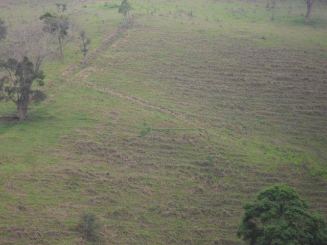 Área Venda Nova - Foto 20