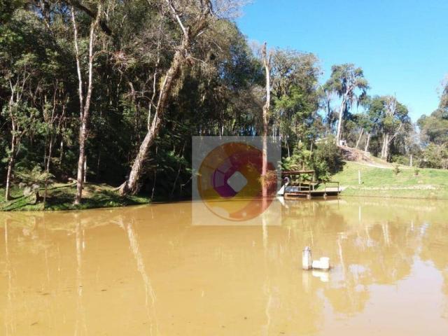 Chácara à venda, 10000 m² por R$ 650.000 - Zona Rural - Fazenda Rio Grande/PR - Foto 4