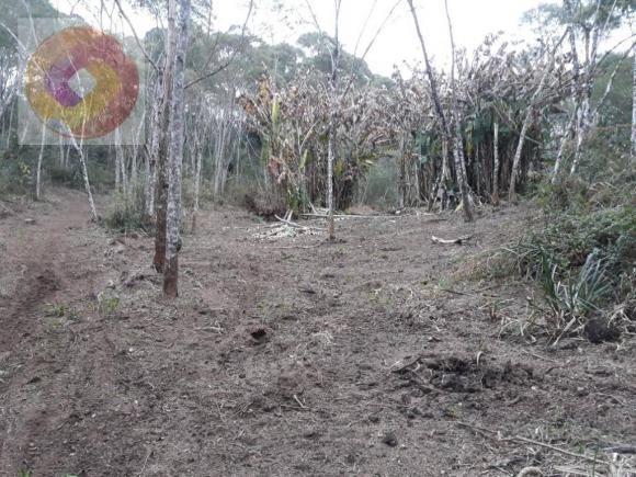 Chácara à venda, 23000 m² por R$ 180.000 - Palmerinha - Campina Grande do Sul/PR - Foto 7