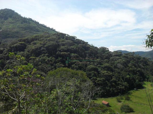 Sítiio em Teresópolis - Foto 20