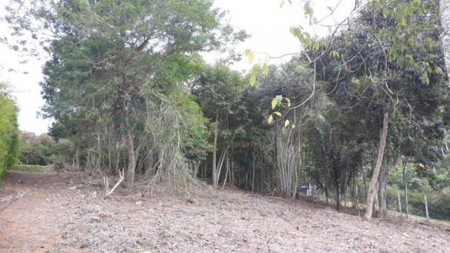 Terreno à venda, 1575 m² por R$ 150.000 - Fazenda Boa Fé - Teresópolis/RJ - Foto 2