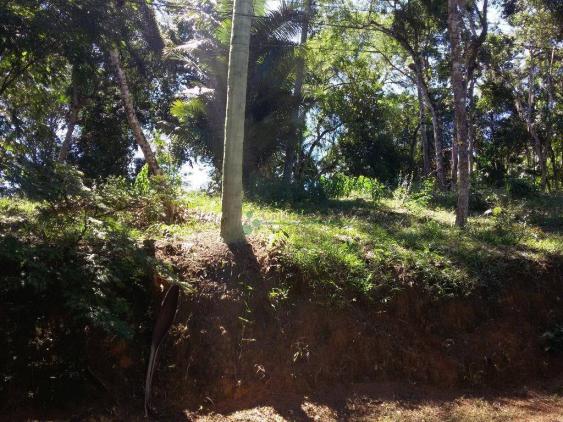 Terreno residencial à venda, Vargem Grande, Teresópolis. - Foto 2
