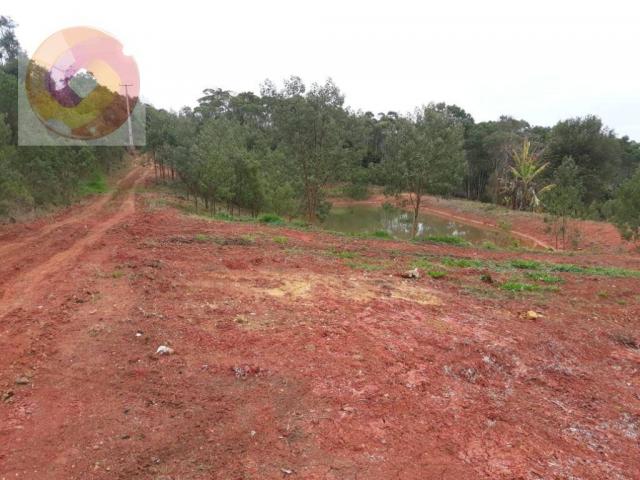 Chácara à venda, 23000 m² por R$ 180.000 - Palmerinha - Campina Grande do Sul/PR - Foto 6