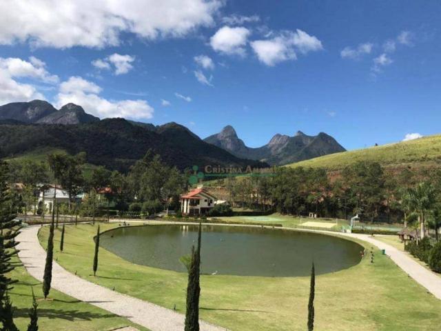 Terreno residencial à venda, Vargem Grande, Teresópolis. - Foto 16