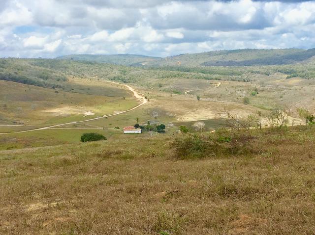 Fazenda em Boa Nova BAHIA com 167he - Foto 10
