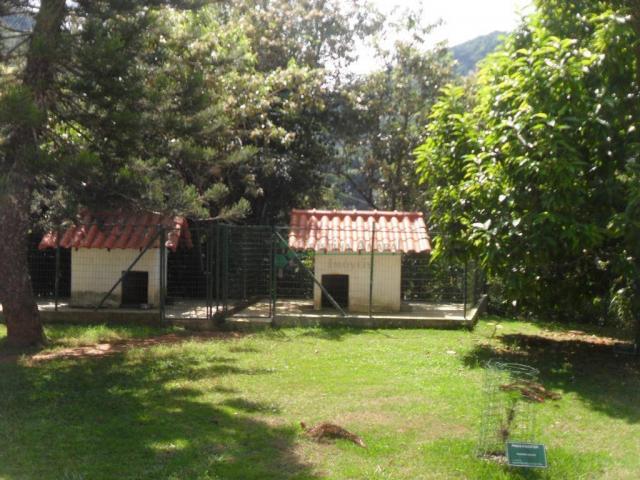 Sítiio em Teresópolis - Foto 13
