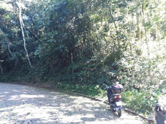 Terreno à venda, 5400 m² - Carlos Guinle - Teresópolis/RJ - Foto 2