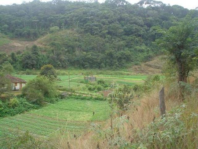 Área rural à venda, Providência, Teresópolis. - Foto 10