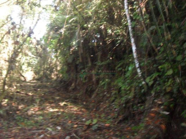 Terreno residencial à venda, Vargem Grande, Teresópolis. - Foto 10