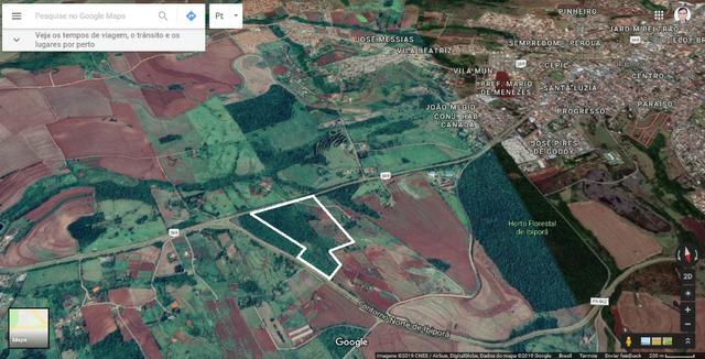Sítio em Ibiporã-PR (na beira do asfalto) - Foto 6