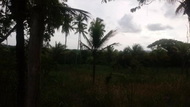 Ótima propriedade de 2 hectares, em Chã de Alegria-PE. R$ 140 mil - Foto 6