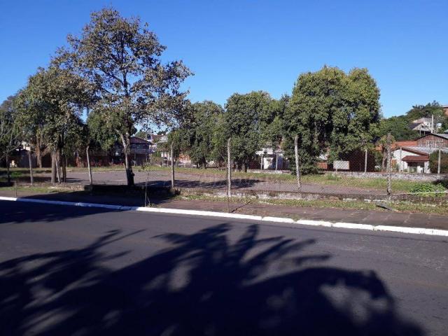Terreno residencial à venda, canudos, novo hamburgo. - Foto 3