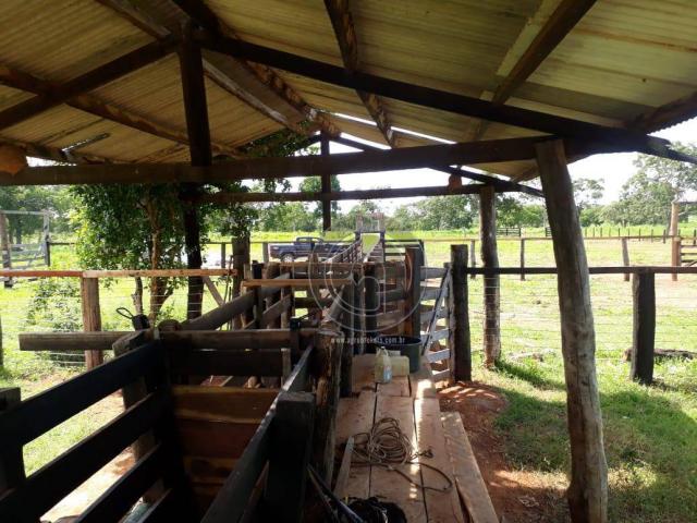 Fazenda 104 ha poconé mt - Foto 9