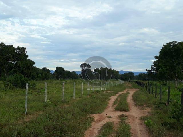 Fazenda 104 ha poconé mt - Foto 2