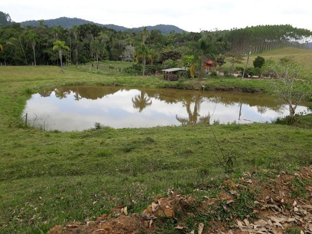 Linda área com 10 hectares a venda em Tijucas SC!!! - Foto 2