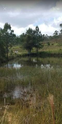 Terreno para chácara baixei pra vender - Foto 4