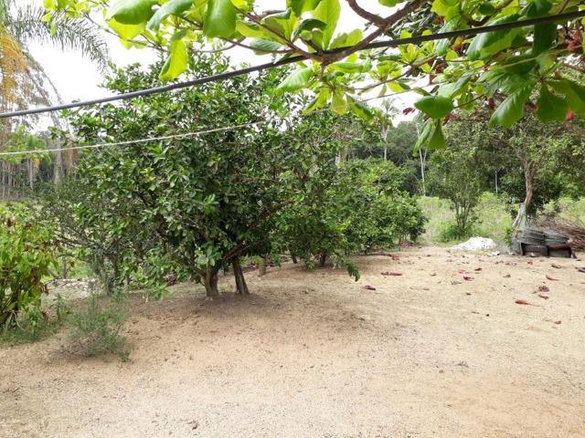 Linda área com 10 hectares a venda em Tijucas SC!!! - Foto 10