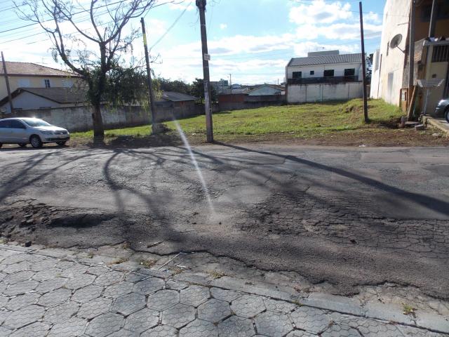 Loteamento/condomínio à venda em Capão raso, Curitiba cod:TE0147 - Foto 6