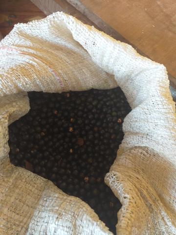 Açaí - Foto 2