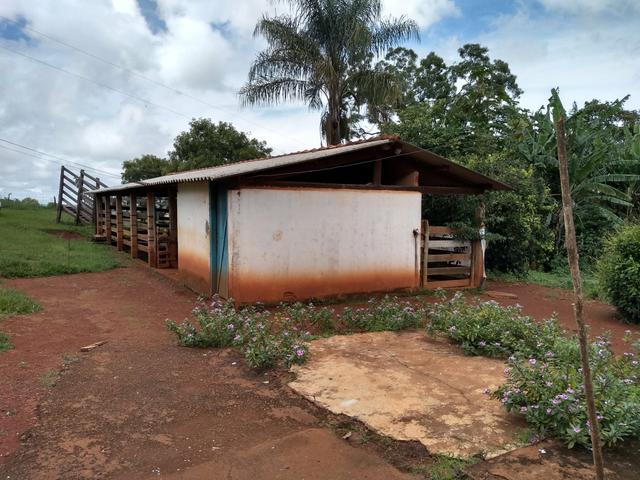Sitio para gado e plantio de café