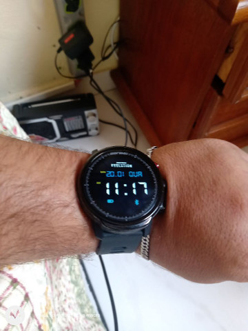 Mormaii evolution